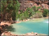 Pool at base of Havasu falls