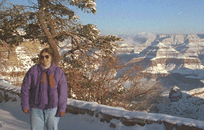 Robin, snow, Rim Trail