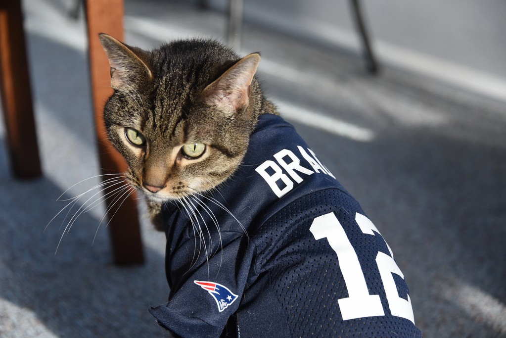 Angel in his Brady jersey