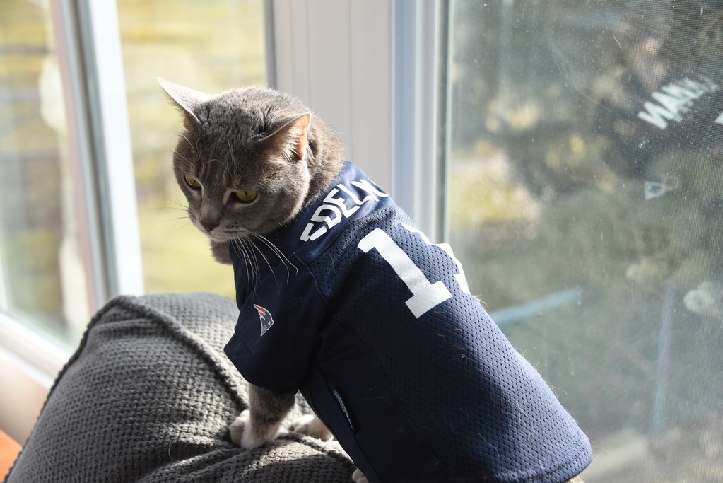 Willow in her Edelman jersey