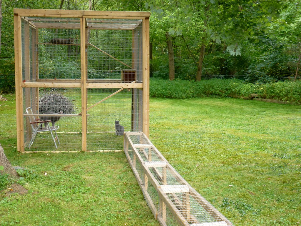 Cat run and enclosure I built for them