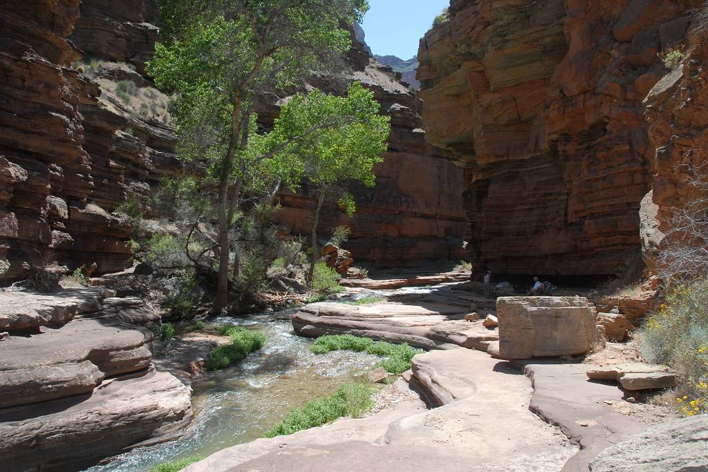 The Patio Deer Creek Grand Canyon Arizona