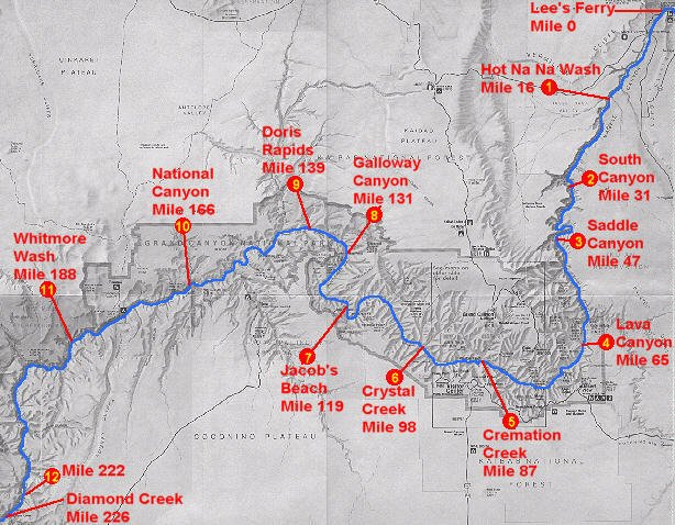 Trip map